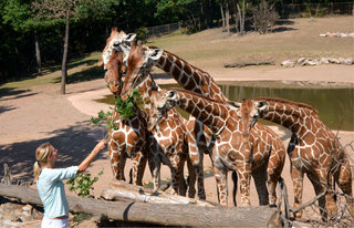 Day for Adoptive Parents and Sponsors