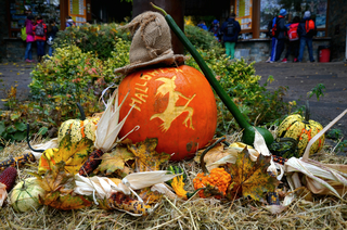 Halloween v Zoo Brno