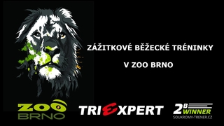 Běžecký trénink v Zoo Brno