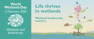 World Wetlands Day