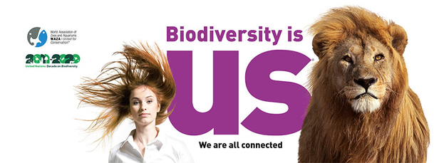 Biodiversity is us!